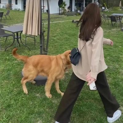 索拉一家